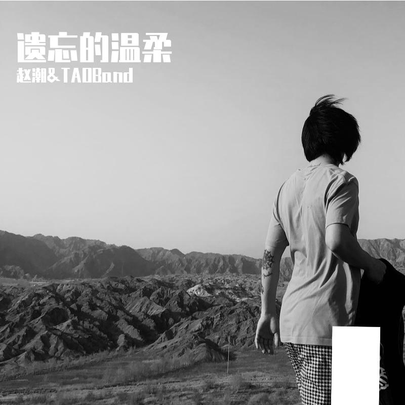 遗忘的温柔