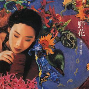 林忆莲 - 只要我活过哭过+花之色+夜来香+蔷薇之恋+野花(原版Live伴奏)2002版