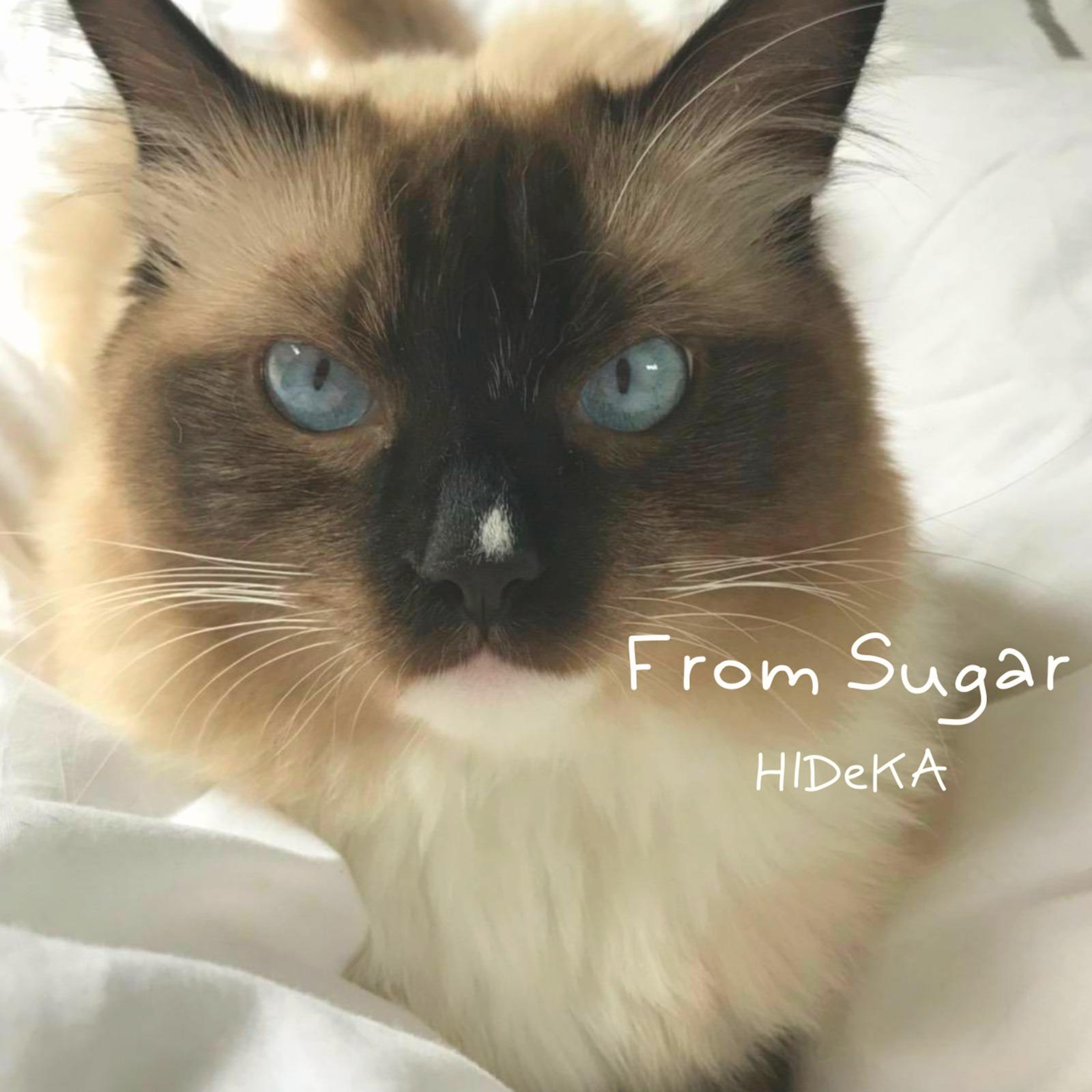 From Sugar