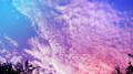 3月9日 piano ver专辑