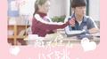 电视剧《我只喜欢你》片头曲专辑
