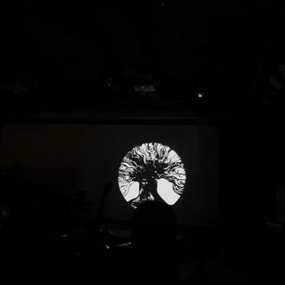 秘密後院