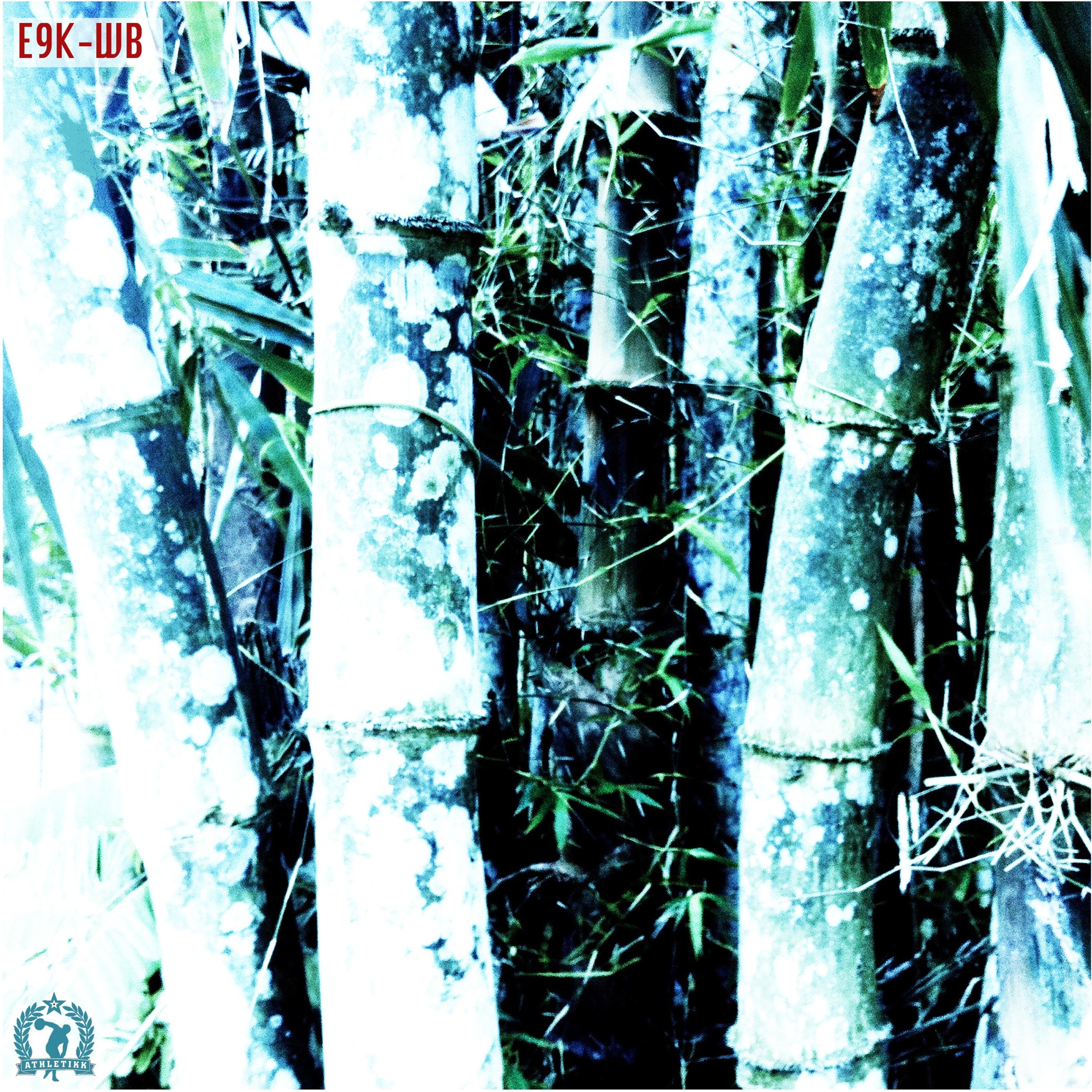 Windy Bamboo