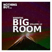 Nothing But... Essential Big Room, Vol. 12