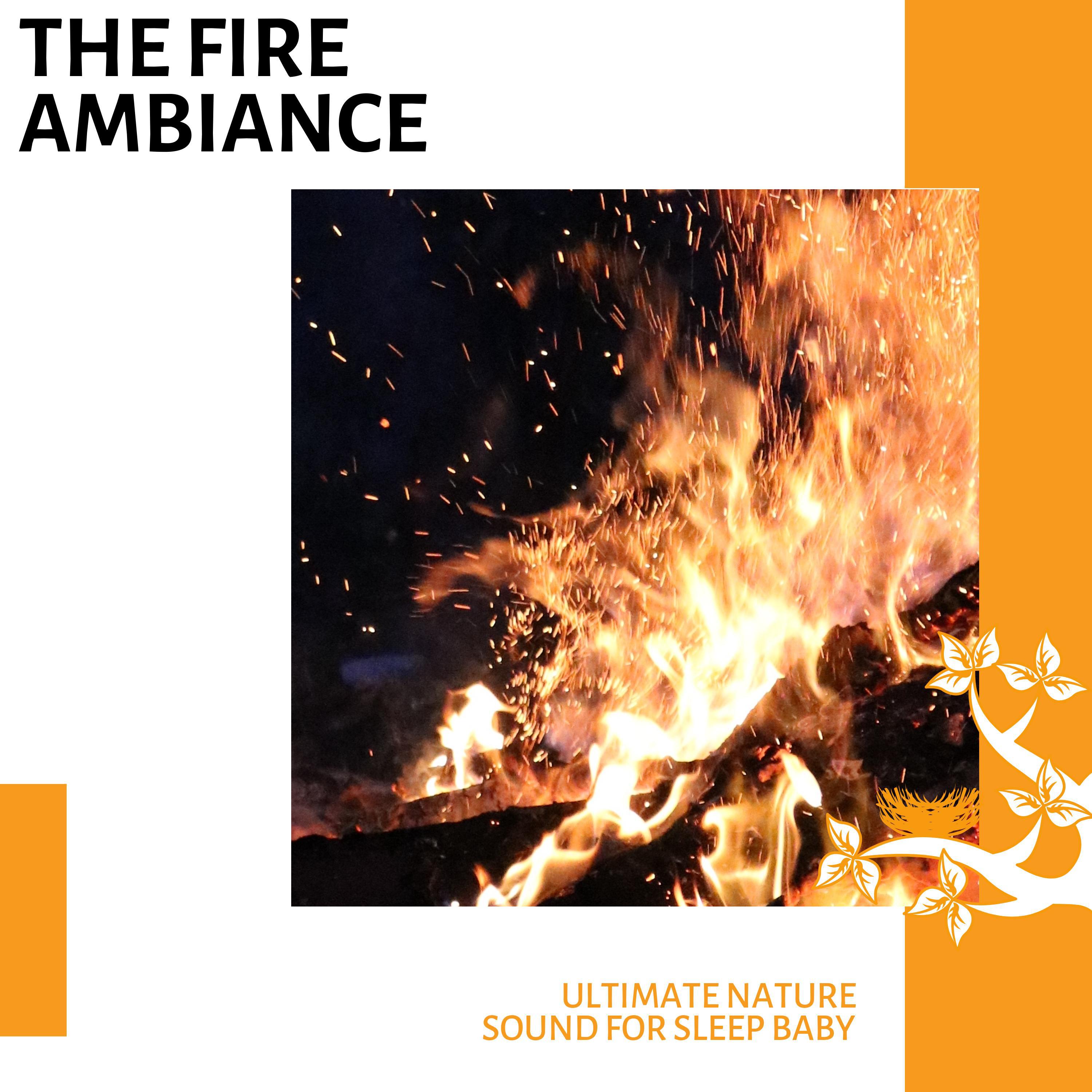 Crackling Fire Nature Sounds - The Fire Day and Night