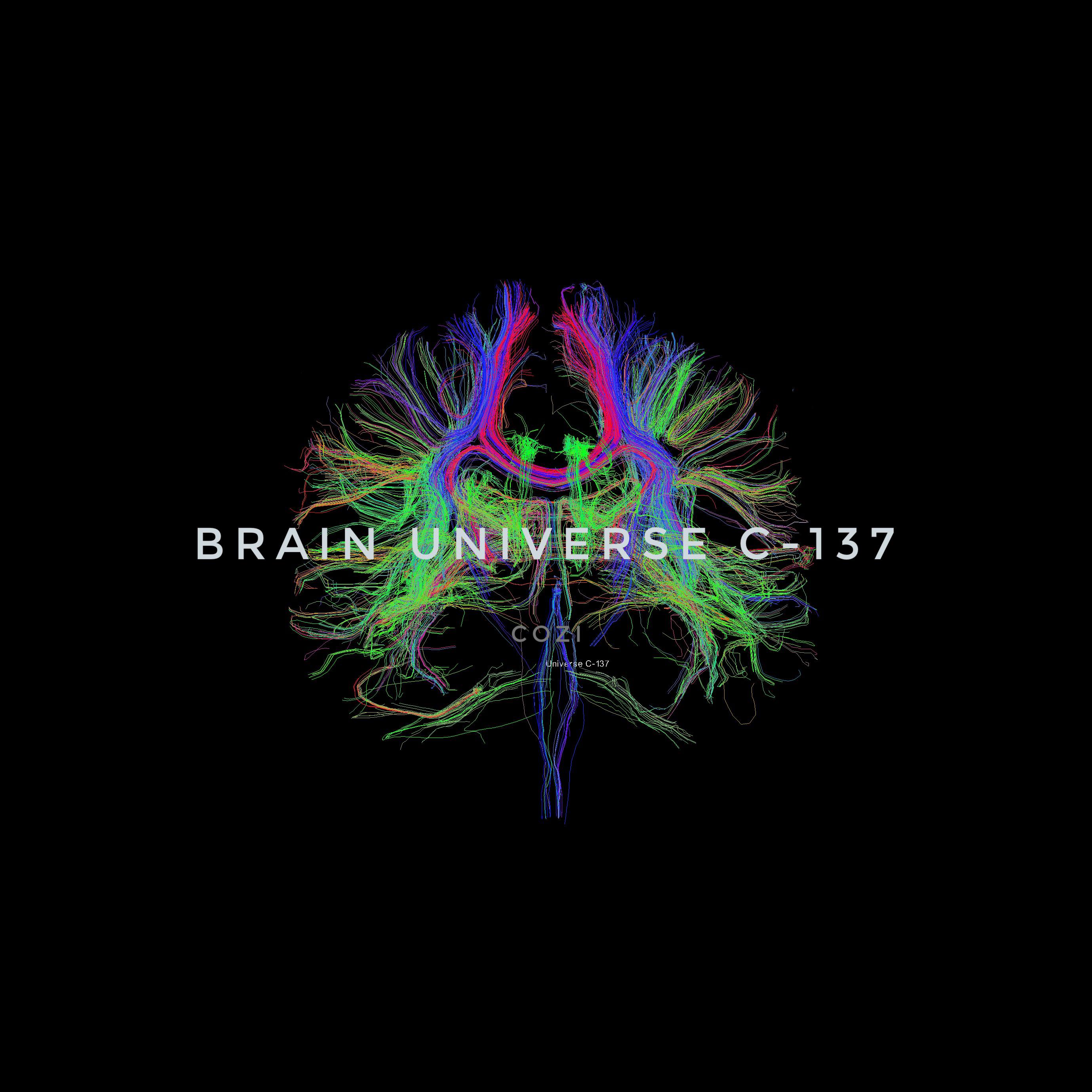 Brain Universe C-137专辑