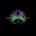 Brain Universe C-137