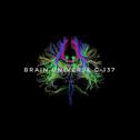 Brain Universe C-137专辑