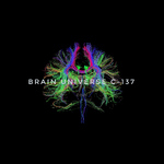 Brain Universe C-137专辑