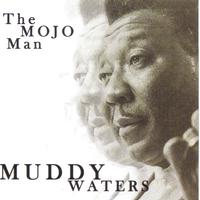 Muddy Waters - Got My Mojo Working (karaoke)