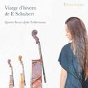 Viatge d'hivern de Franz Schubert