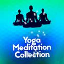 Yoga Meditation Collection专辑