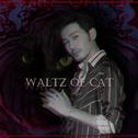 猫的舞步/Waltz of cat专辑