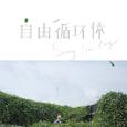 自由循环体