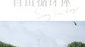 自由循环体专辑