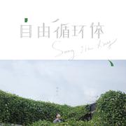 自由循环体