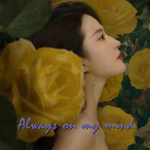苏运莹 - Always on my mind (总在我的心境中)