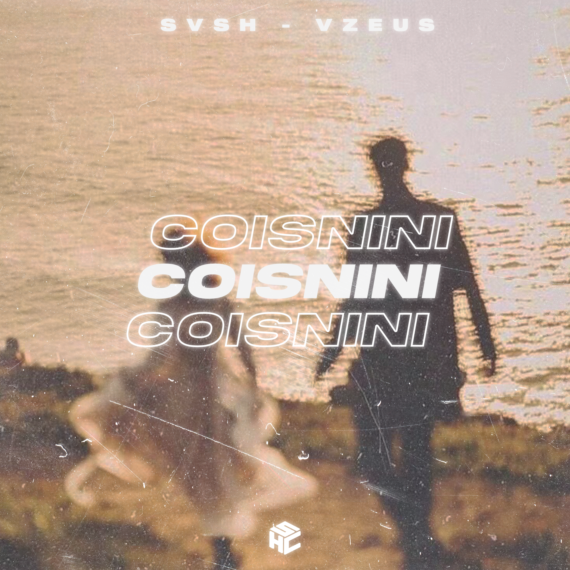 Coisnini