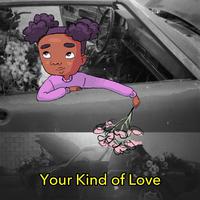 Your Kind of Love - Ronnie Dunn (TKS karaoke) 带和声伴奏