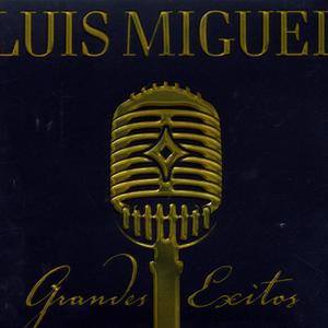 Te Necesito - Luis Miguel (SC karaoke) 带和声伴奏