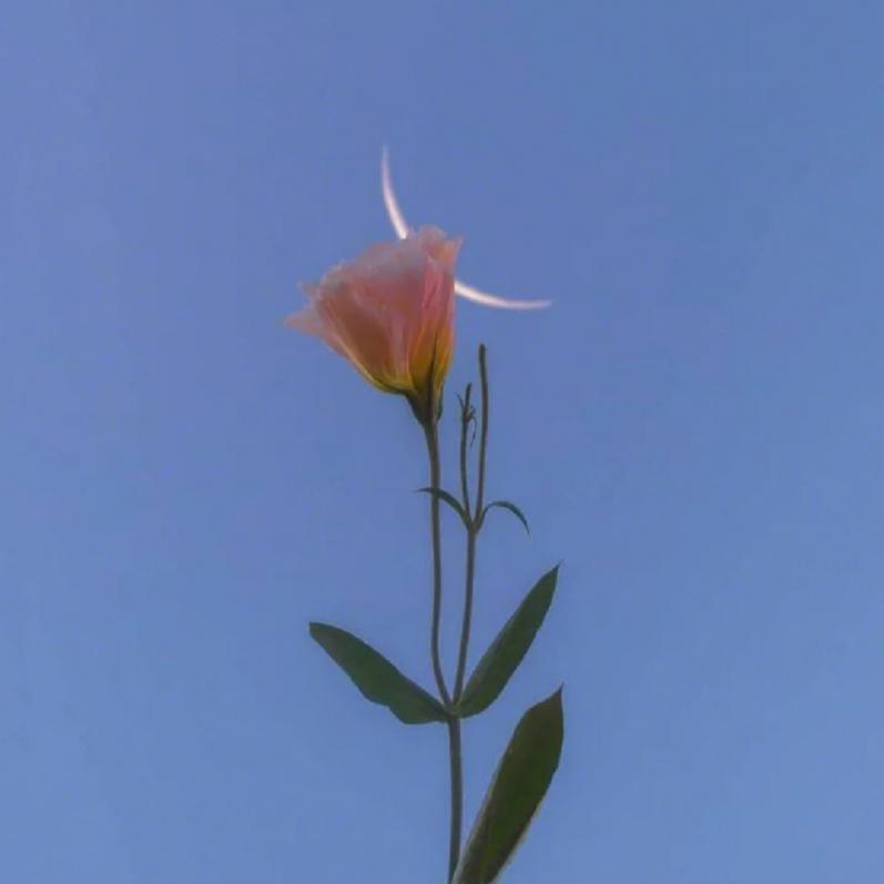 表白之前（demo）