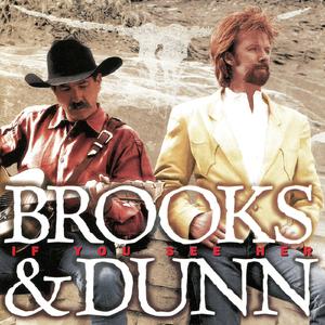 Brooks & Dunn - Husbands And Wives (PT karaoke) 带和声伴奏 （升8半音）
