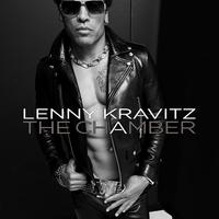 The Chamber - Lenny Kravitz (karaoke Version)