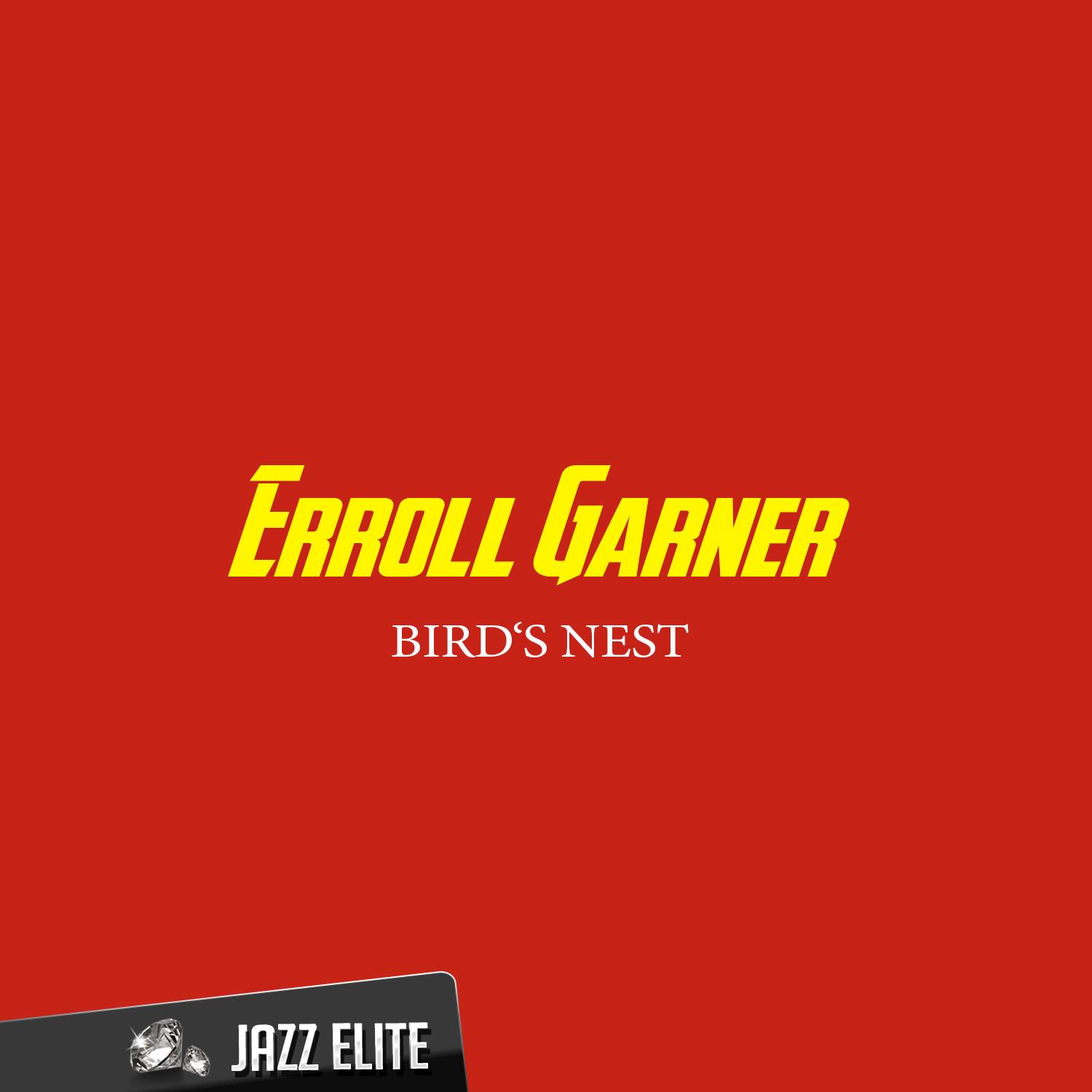 Bird's Nest