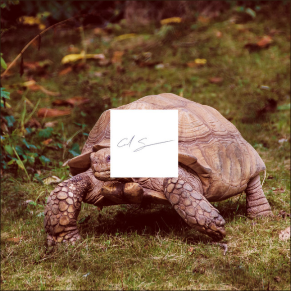Slow Down