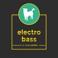 electro bass