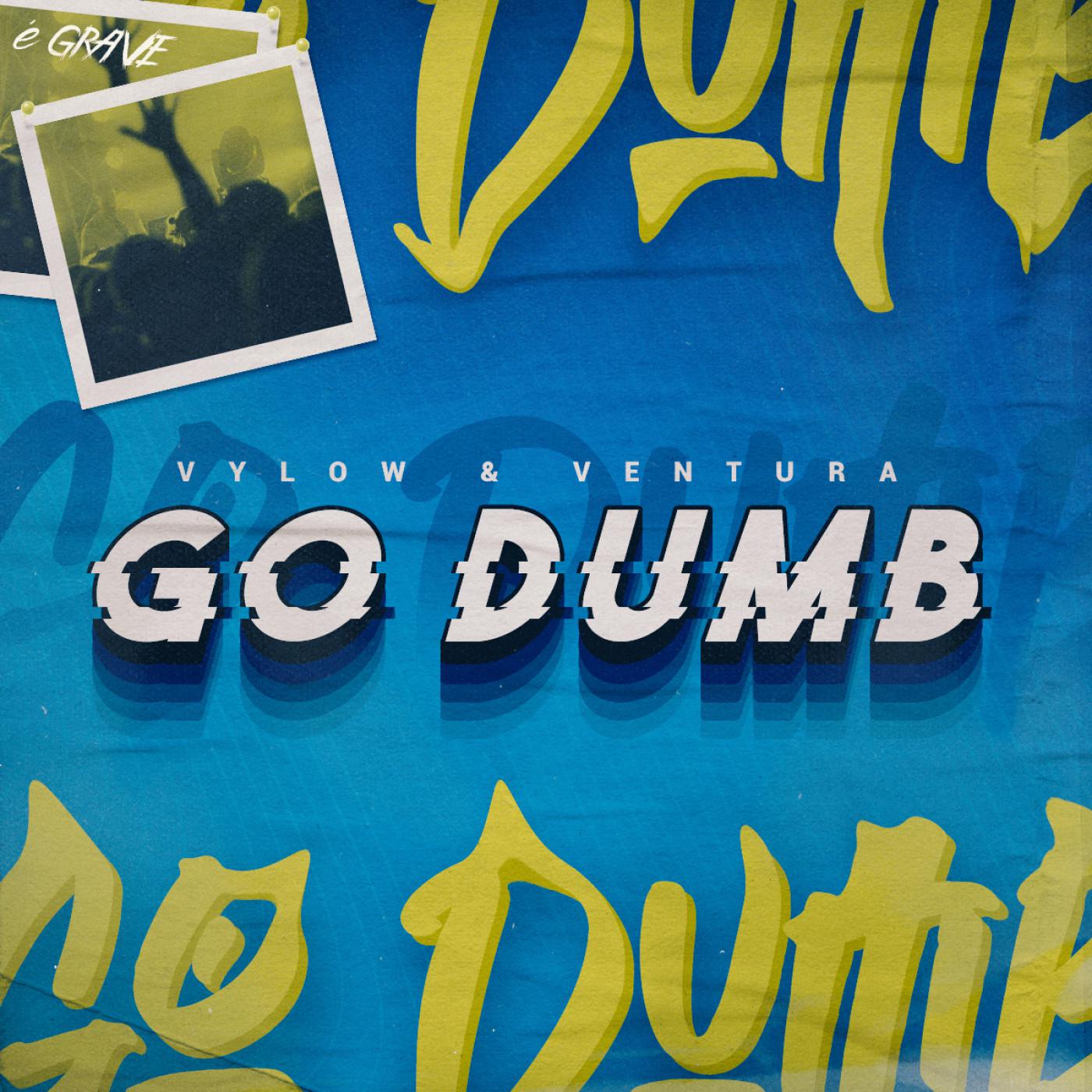 Vylow - Go Dumb