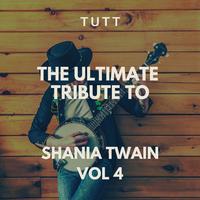What Made You Say That - Shania Twain (karaoke)