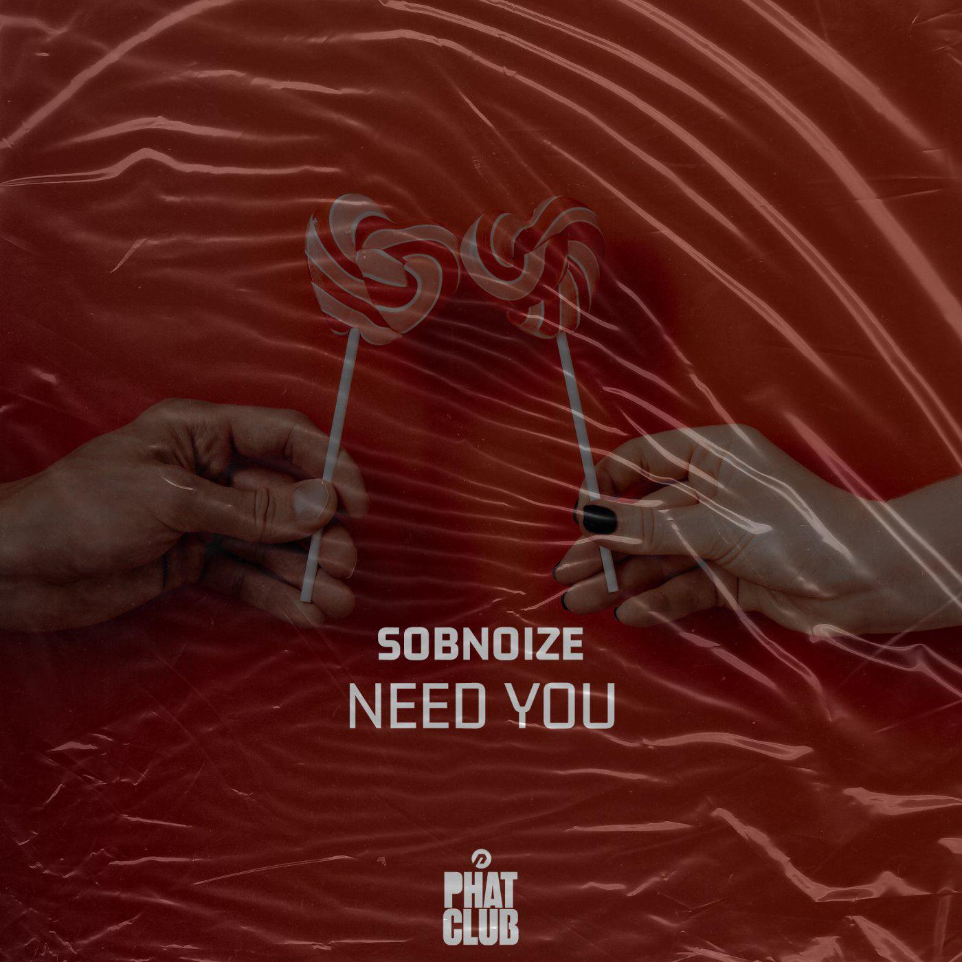 SOBNOIZE - Need You (Extended Mix)
