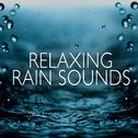 Relaxing Rain Sounds专辑