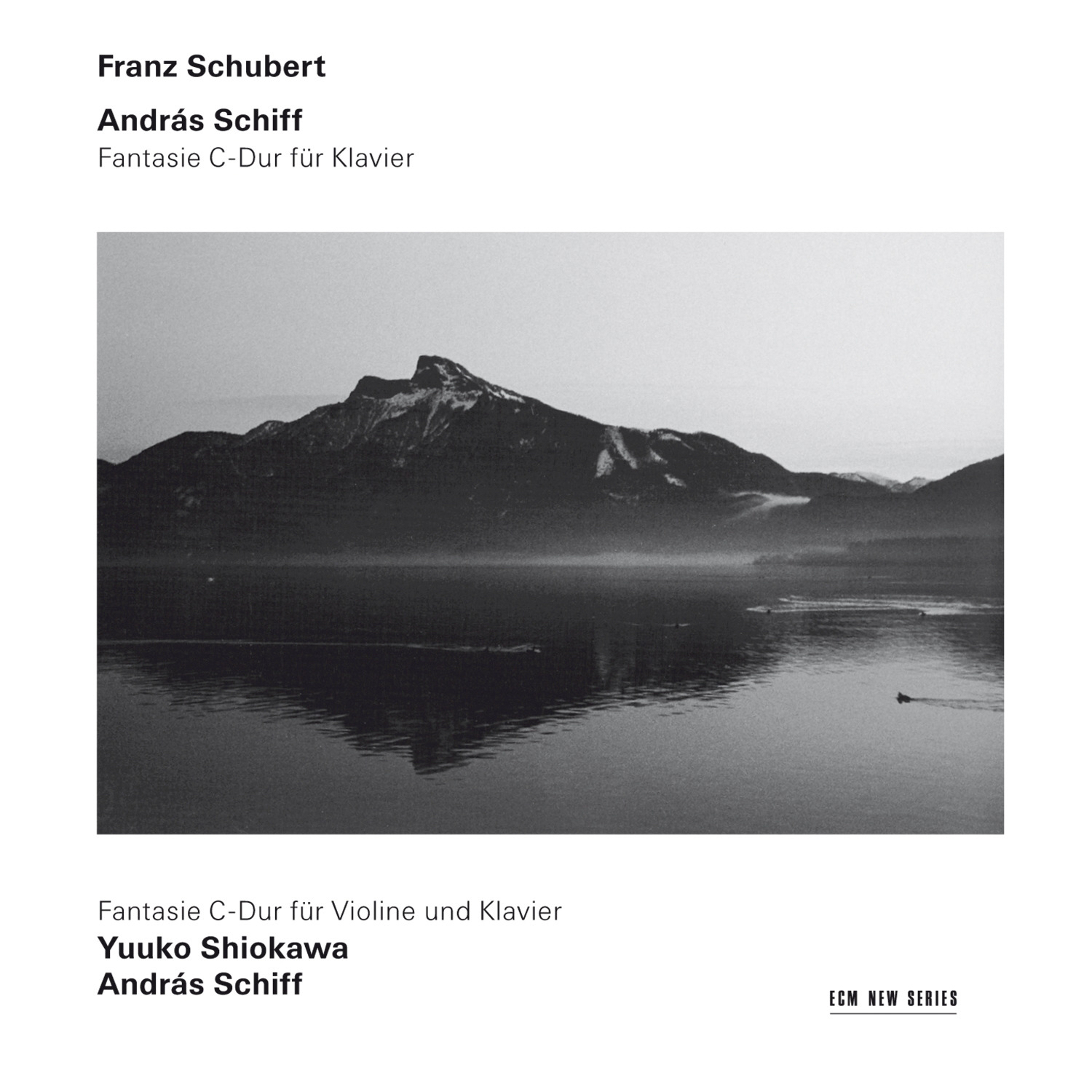 Schubert: Fantasy in C, Op. 15 D 760 "Wanderer"