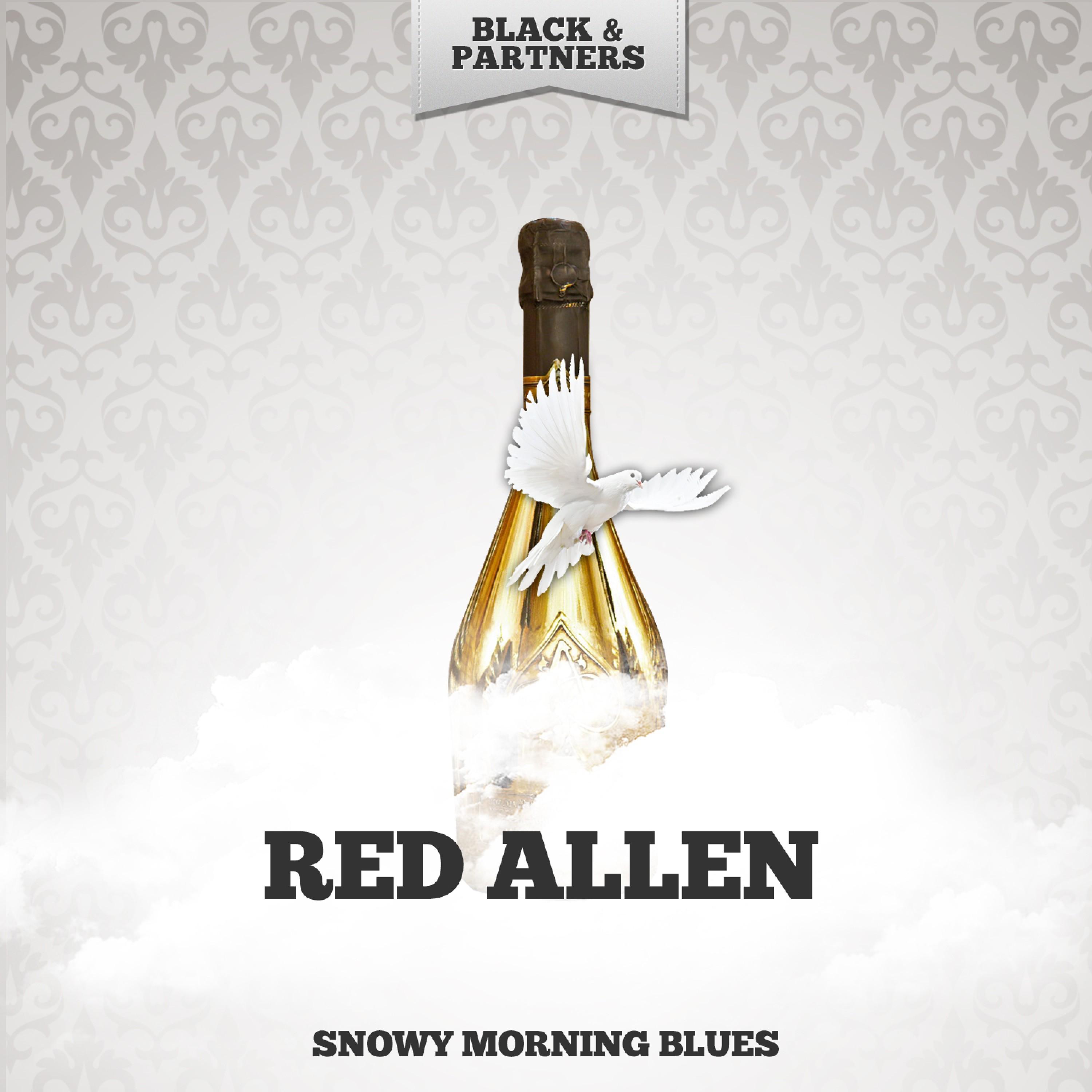 Snowy Morning Blues