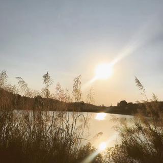 关于那些年的我们（民谣）