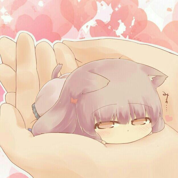 夜用东方(∪｡∪)｡｡｡zzz