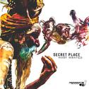 Secret Place专辑