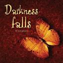 Darkness falls专辑