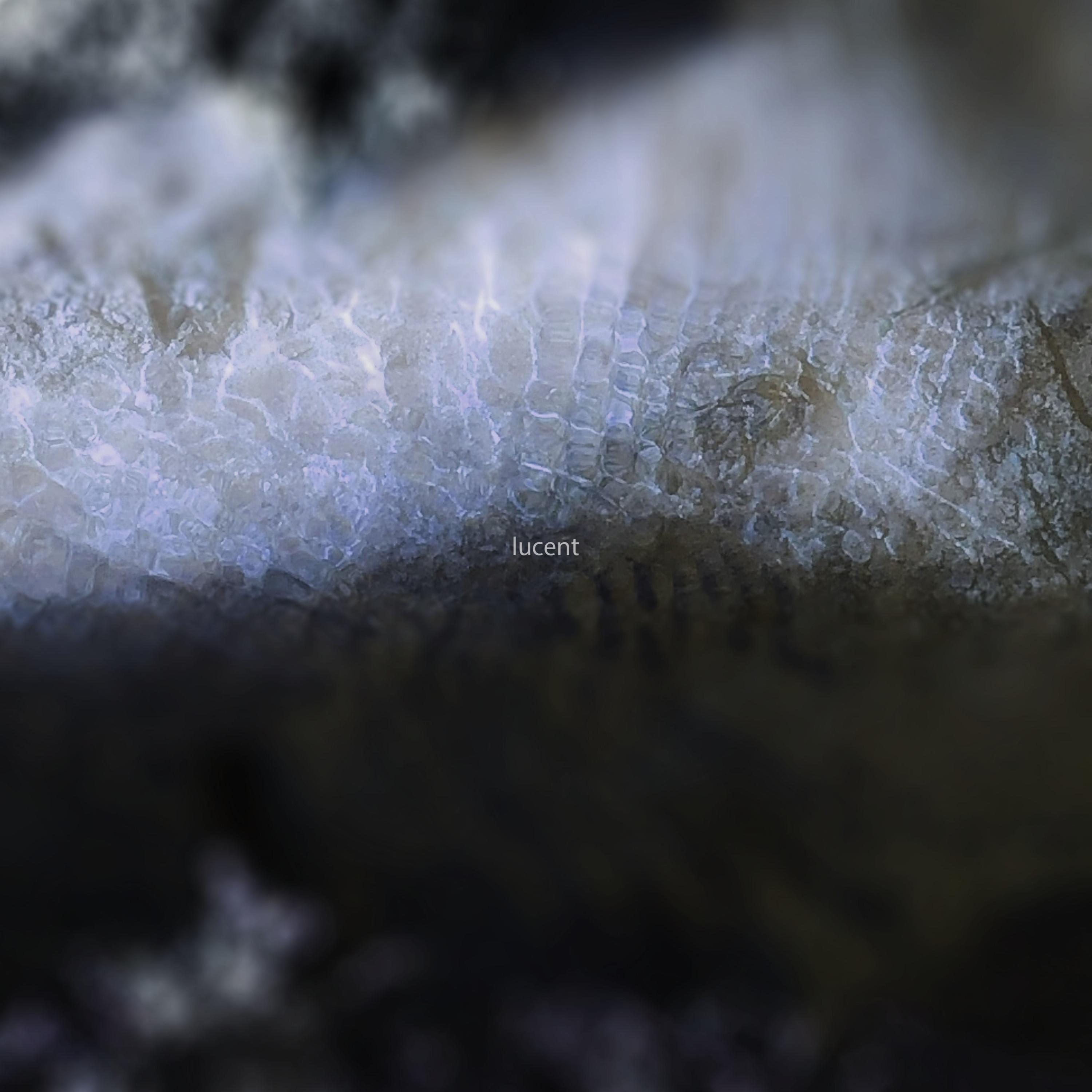 Lucent