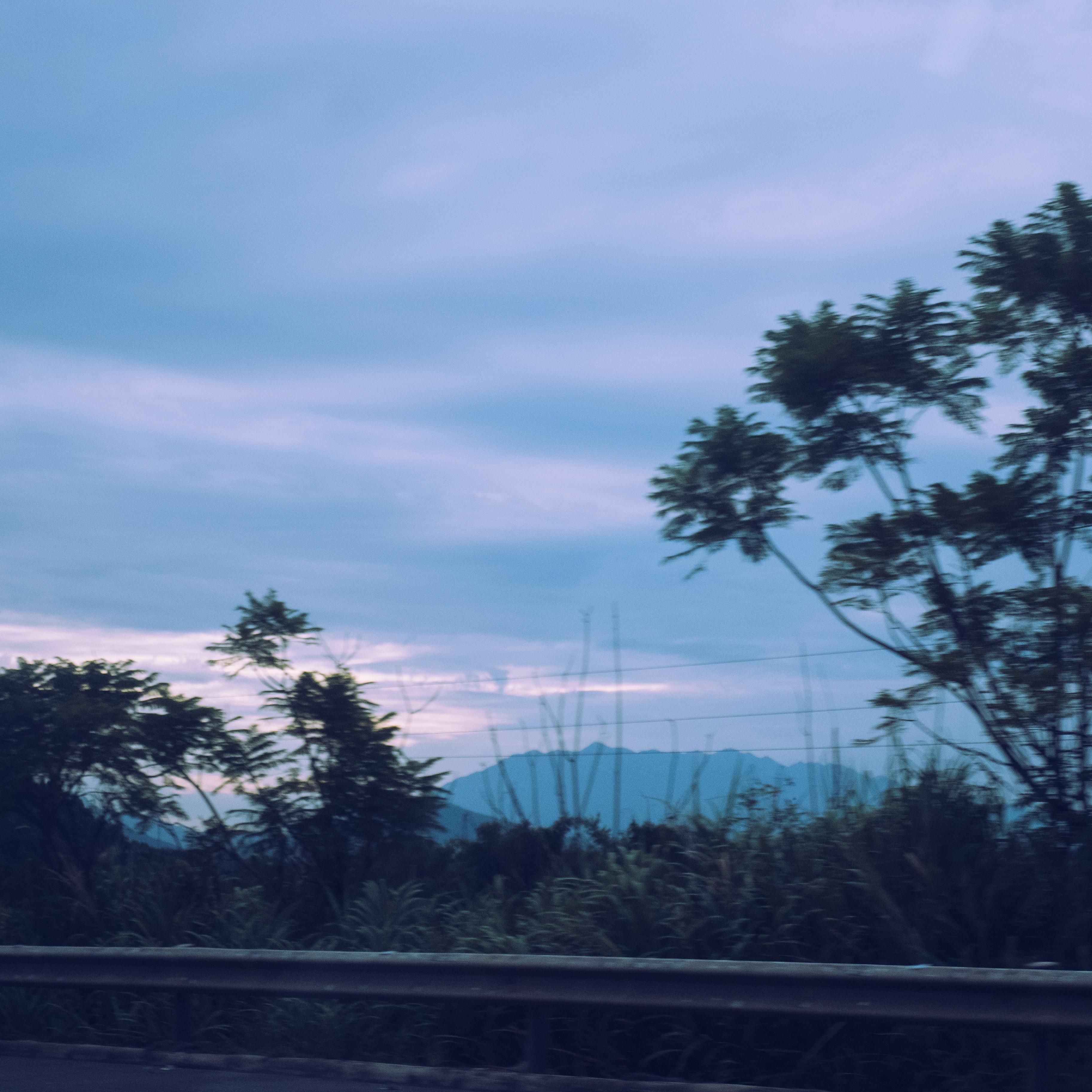 夏小桃歌曲封面