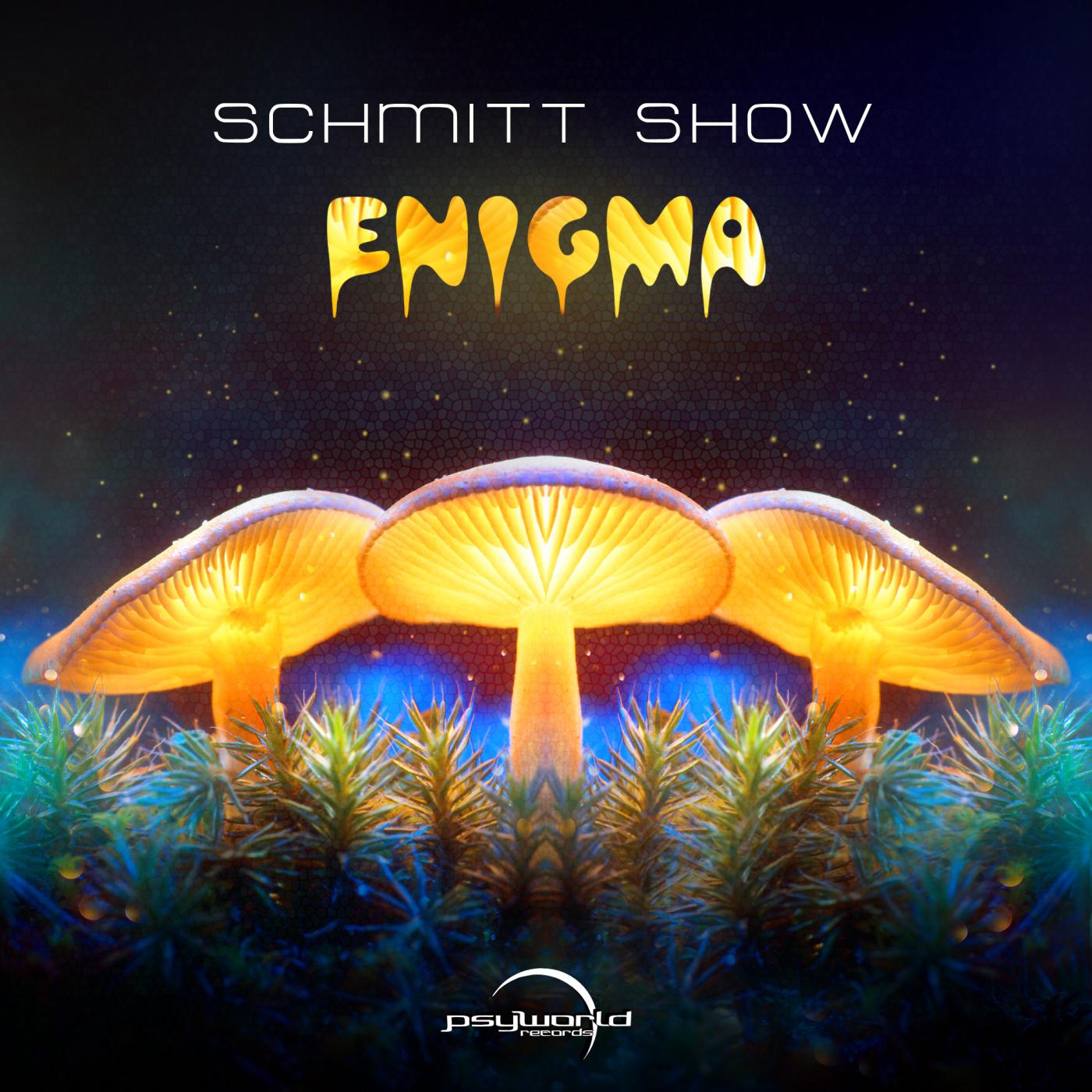 Schmitt Show - Shimmering Lines In The Sky (Original Mix)