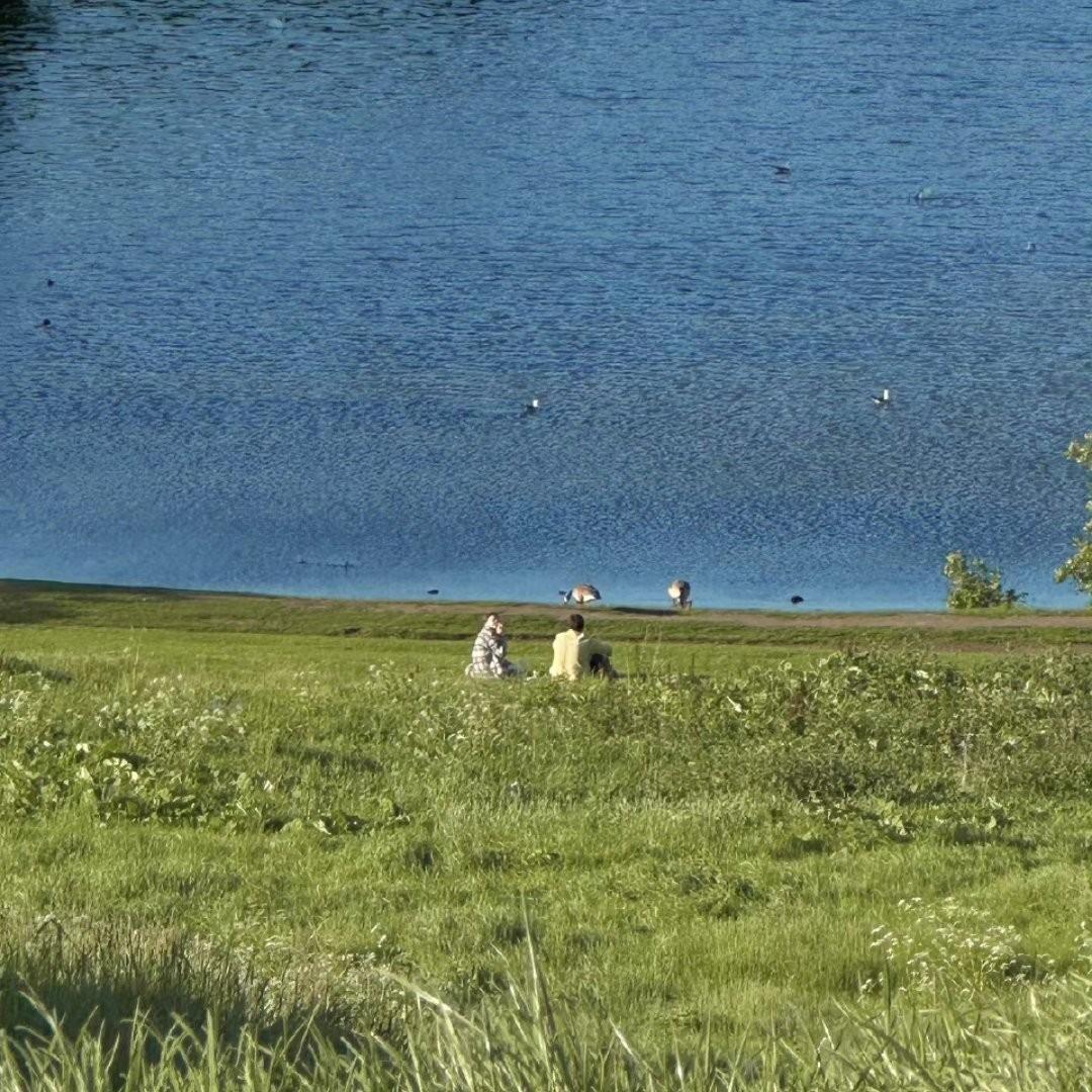 中文治愈｜温柔也被唱成歌 | 在线播放 | 网易云音乐