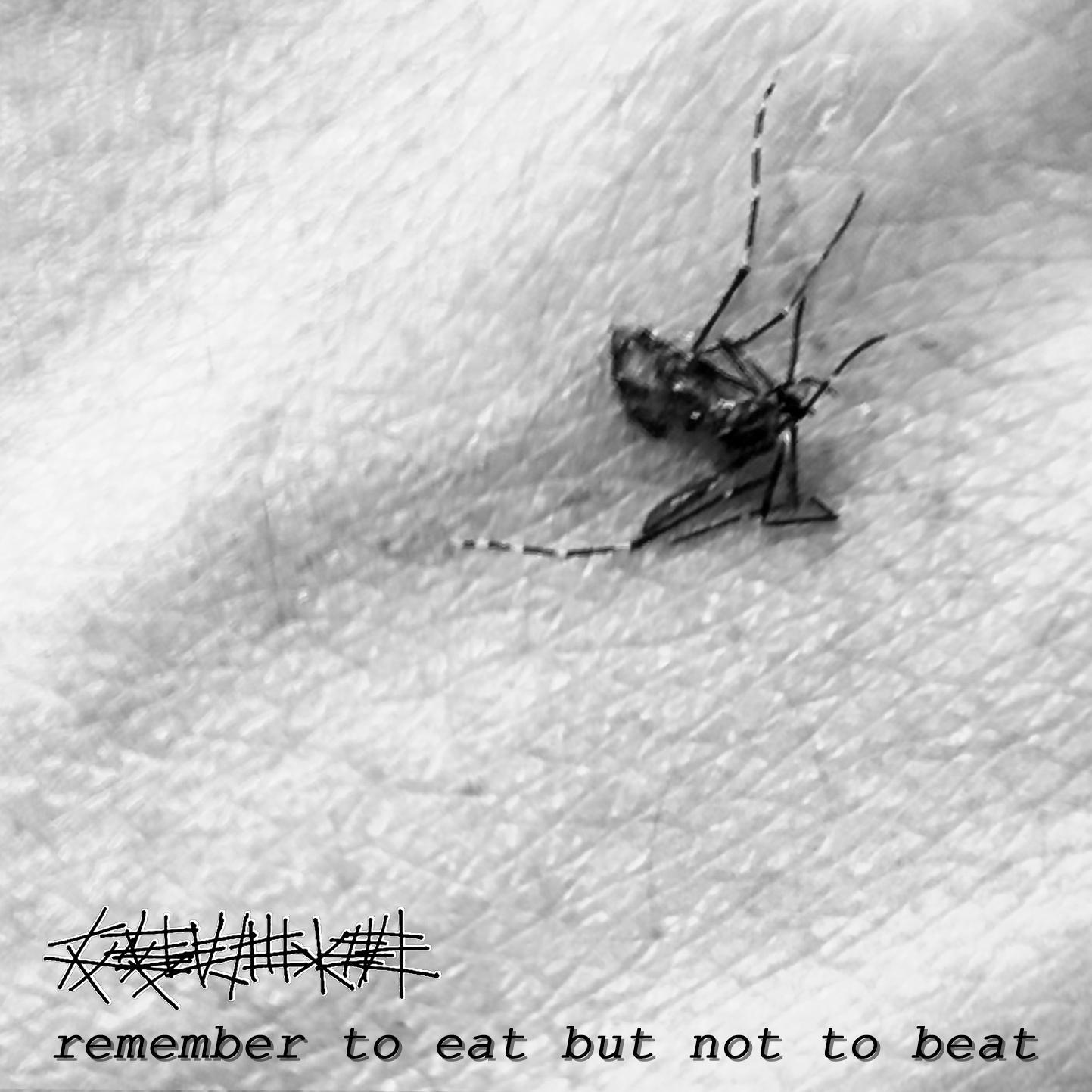 记吃不记打
