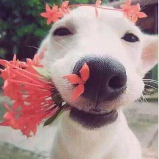 每人一首丨收听次数500 ❤的歌曲