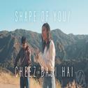Shape Of You | Cheez Badi Hai (Vidya Vox Mashup Cover)专辑