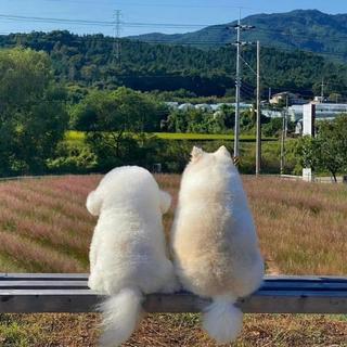 说唱｜要和喜欢的人一起等秋天呐