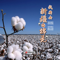 冯嘉伟-我要去新疆种棉花