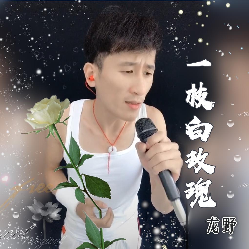 一枝白玫瑰